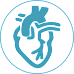 Cardiology treatment for heart diseases in India