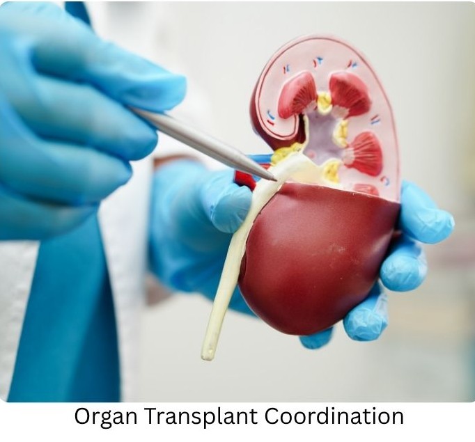 Affordable medical tourism services in India