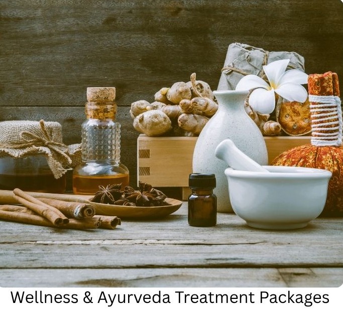 Healthcare travel facilitator in India