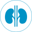 Urology treatments for kidney and urinary tract issues