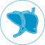 Liver transplant and liver disease treatments in India