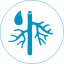Vascular surgery for artery and vein care in India